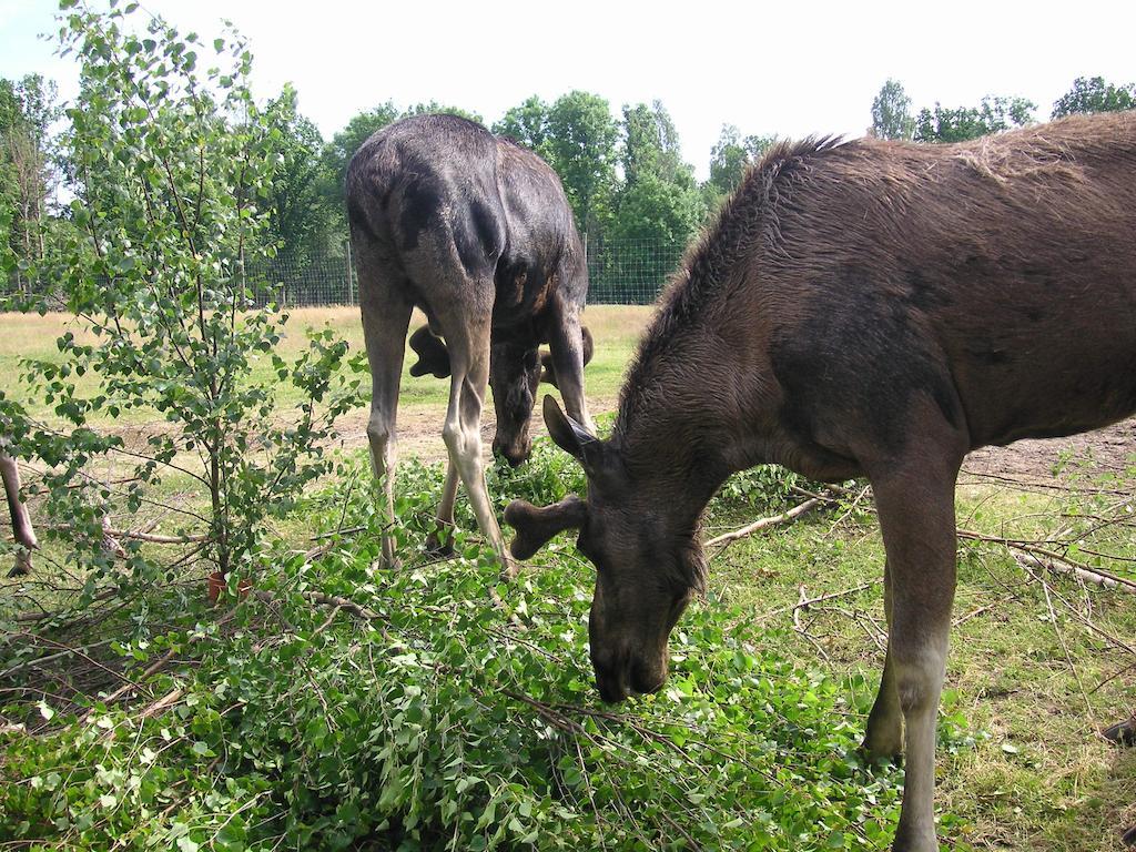 Tildas Urshult Buitenkant foto